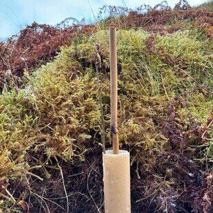 TERRA VoleGuard Biodegradable Tree Shelter Tube