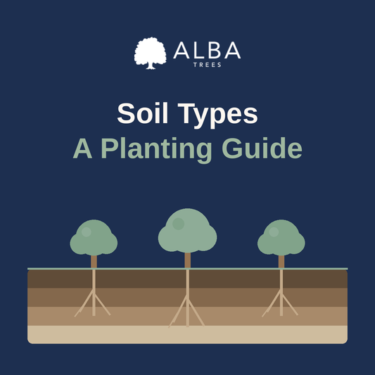 Understanding Soil Types