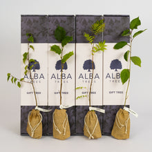 WILD CHERRY – THE TREE OF GOOD FORTUNE