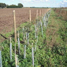 Clear Spiral Guard 60cm