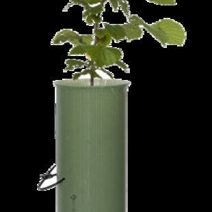 Shrubshelter Standard 75cm